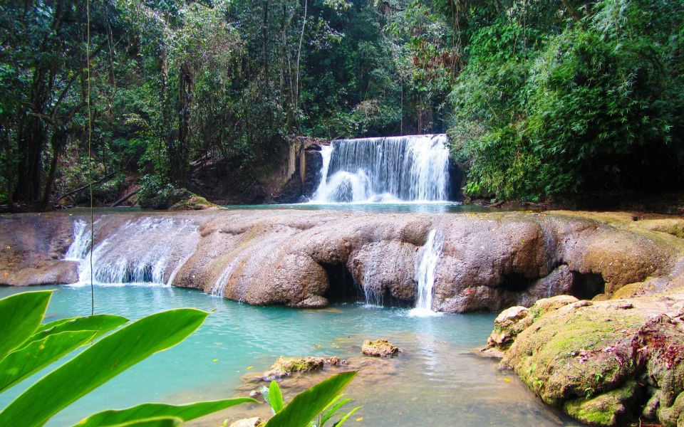 Black River Safari and Ys Falls Tour and Transportation - Crocodiles and Wildlife
