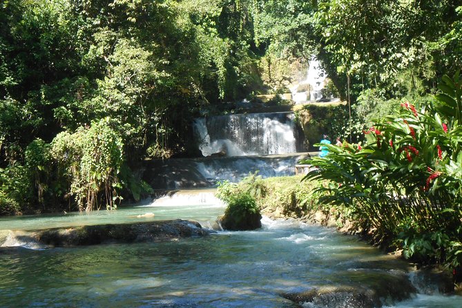 Black River Safari and YS Falls Tour With Lunch - Customer Feedback