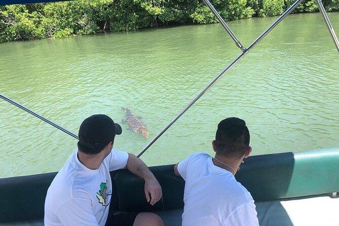 Black River Safari and YS Water Falls - Key Points