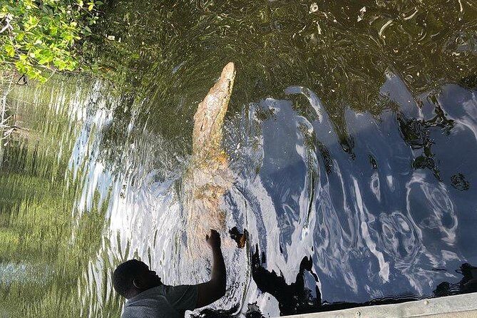 Black River Safari and YS Water Falls - How Does It Value?