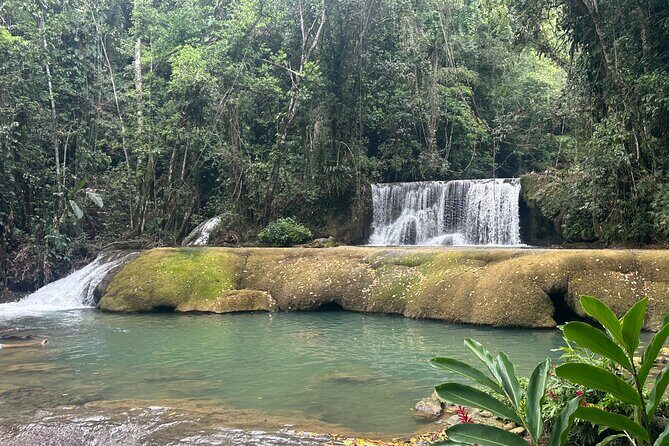 Black River Safari and YS Water Falls - Who Should Consider This Tour?