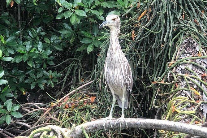 Black River Safari and YS Water Falls - Final Thoughts