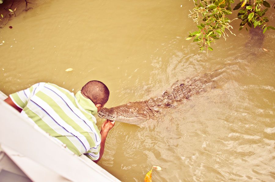 Black River Safari Tour From Montego Bay - Highlights of the Safari