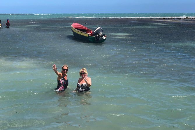 Black River Safari, YS Falls and Floyd's Pelican Bar - A Close Look at the Itinerary