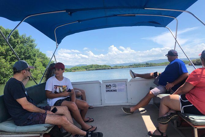 Black River Safari, YS Falls and Floyd's Pelican Bar - Who Should Consider This Tour?