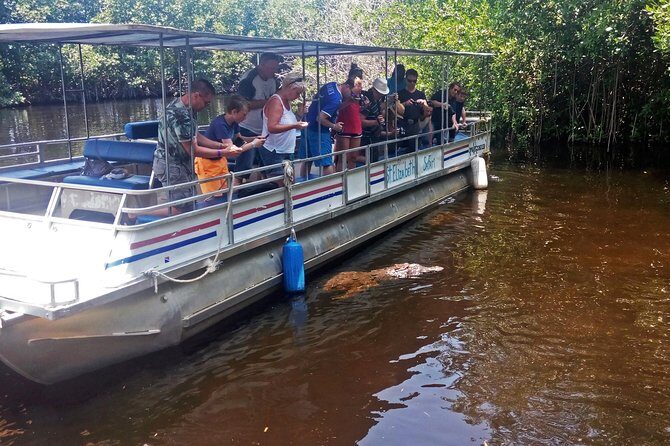 Black River Safari * YS Falls * Appleton Rum Tour - An In-Depth Look at the Experience
