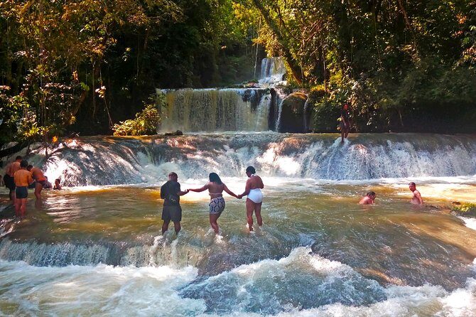 Black River Safari * YS Falls * Appleton Rum Tour - What Past Travelers Say