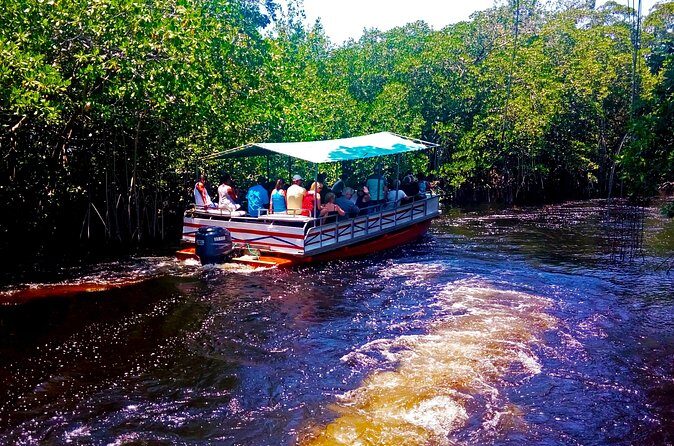 Black River Safari * YS Falls * Appleton Rum Tour - Who Should Consider This Tour?