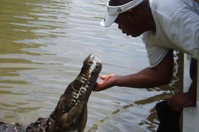 Black River Safari * YS Falls * Appleton Rum Tour - FAQ