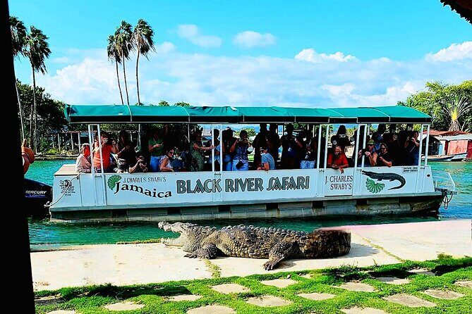 Black River Safari YS Falls Lunch Classic Combo From Negril - What to Expect from This Classic Combo Tour