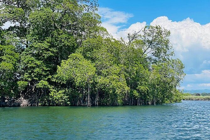 Black River Safari YS Falls Lunch Classic Combo From Negril - The Itinerary in Detail