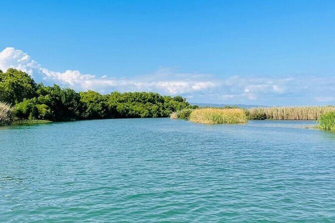 Black River Safari YS Falls Lunch Classic Combo From Negril - Authentic Experiences and Insights