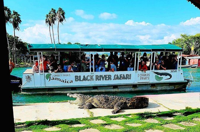 Black River Safari YS Falls Lunch Classic Combo From Negril - Who Should Consider This Tour?