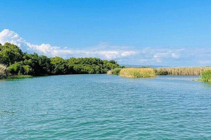 Black River Safari YS Falls Lunch Classic Combo From Negril - Final Thoughts