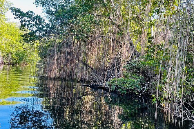 Black River Safari YS Falls Lunch Classic Combo From Negril - FAQ