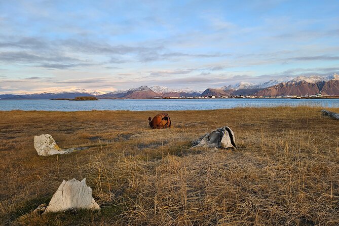 Black Sand Beach Super Jeep Tour - Highlights