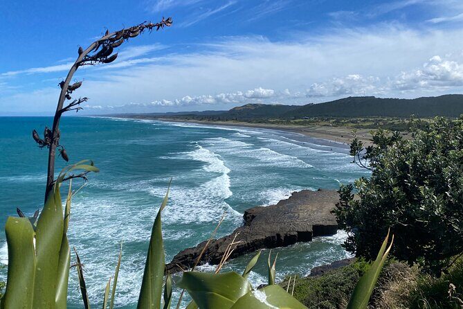 Black Sand Beaches & Birds Auckland Sightseeing Tour - Key Points