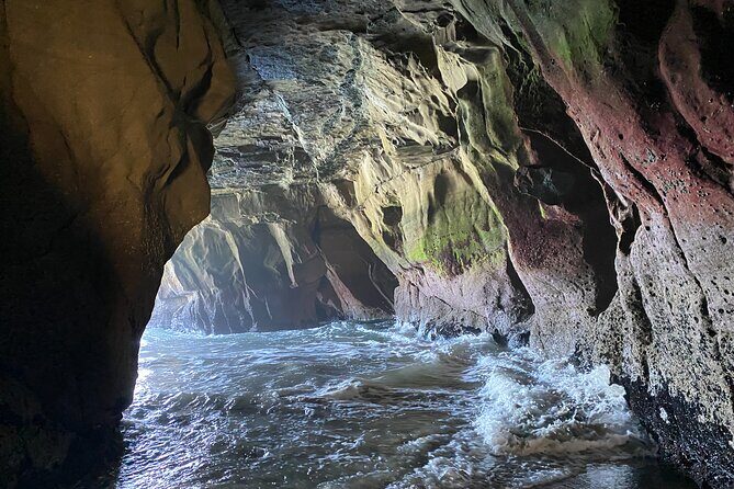 Black Sand Beaches & Birds Auckland Sightseeing Tour - FAQ