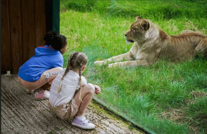 Blackpool: Zoo Admission Ticket - Customer Reviews and Ratings