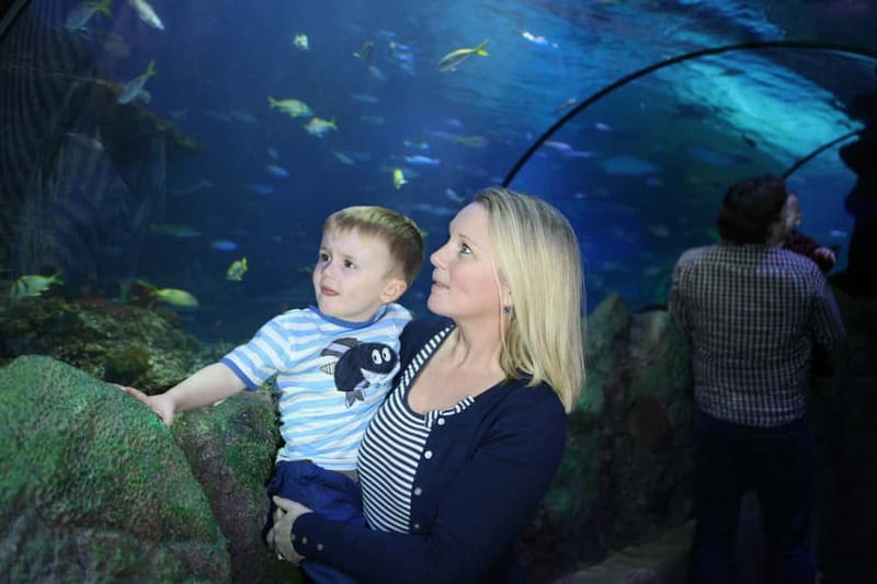 Blankenberge: SEA LIFE Entry Ticket - Key Points