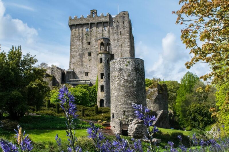Blarney Castle: Private Guided Day Tour From Dublin - Group Experience Benefits