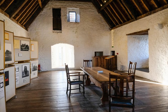 Blarney, Rock of Cashel & Cahir Castles Day Tour From Dublin - Travel Information and Accessibility