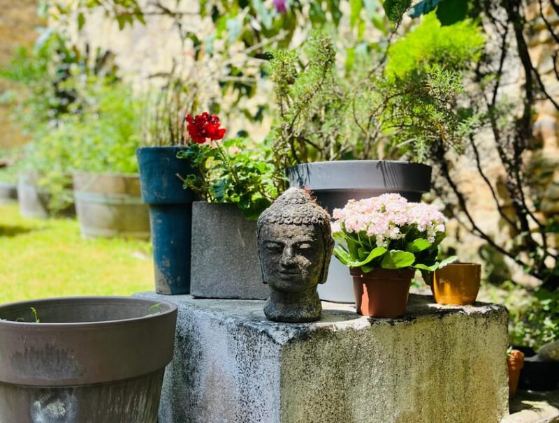 Blaye: Wine Tasting and Meditation Winefulness - Choosing the Perfect Wine