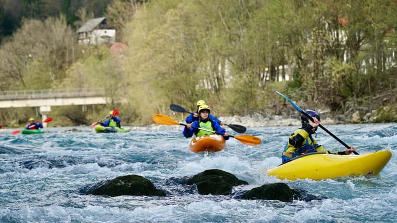 Bled: kayaking course on the river Sava - Key Points