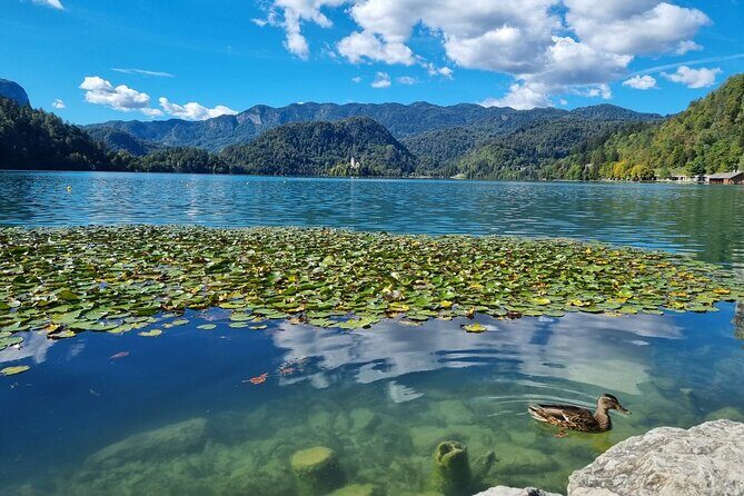 Bled Lake and Ljubljana extra small group tour from Zagreb - Summary