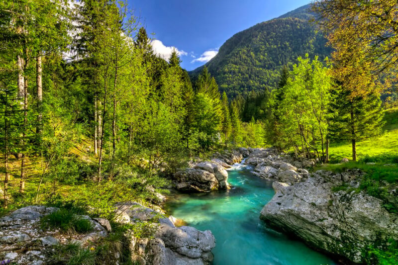 Bled: Soča River Experience - Important Information