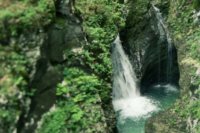 Bled: Triglav National Park Canyoning Adventure with Photos - Who Is This Tour Best For?