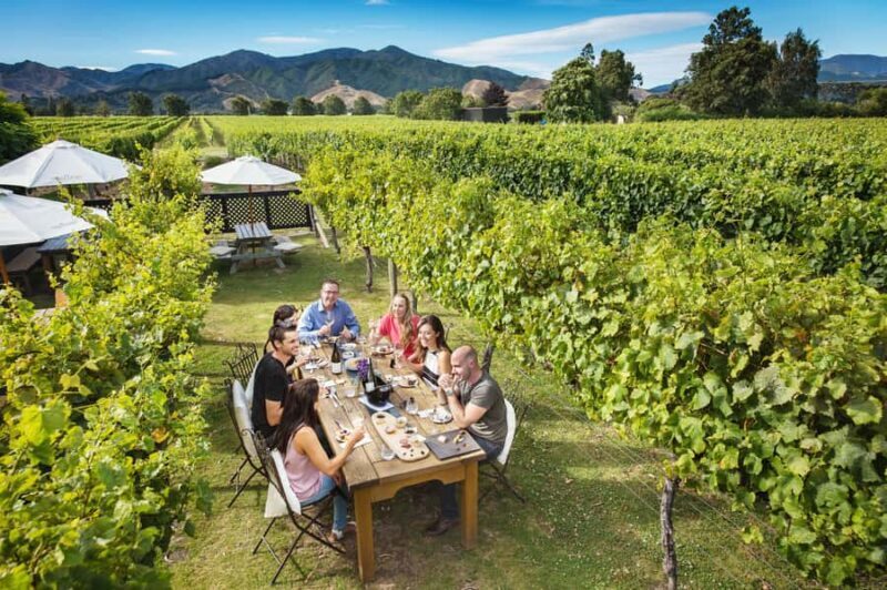 Blenheim/Renwick: Marlborough Half-Day Wine Tour with Lunch - What Makes This Tour Stand Out?