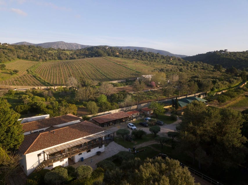 Blind Wine Tasting - Key Points