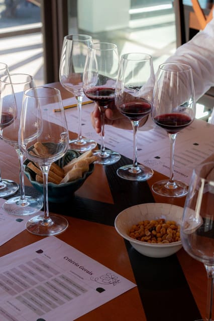 Blind Wine Tasting - Final Thoughts