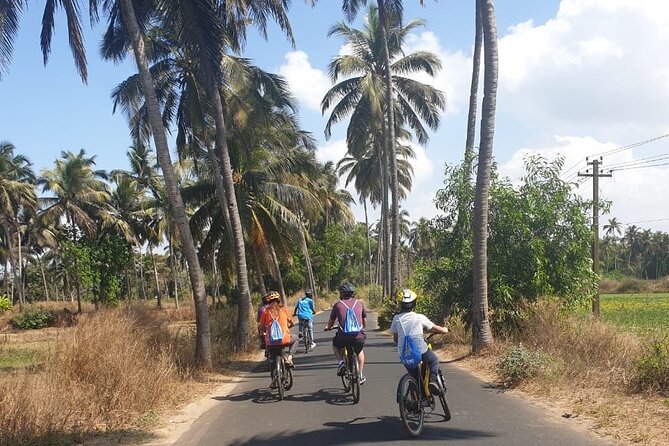 BLive Electric Bike Tours – Countryside Escape to Varca - Exclusions