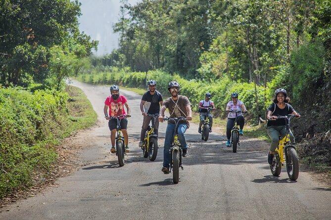 BLive Electric Bike Tours – Vibes of Vagator - Whats Included in the Tour