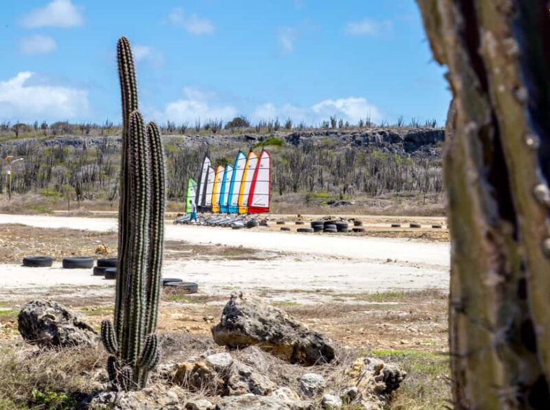 Blokart Landsailing on the shores of the Caribbean Bonaire - The Experience in Detail: Itinerary and Highlights