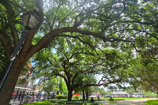 Blood and Brick: Macabre Histories of the French Quarter Tour - A Deep Dive into the Experience