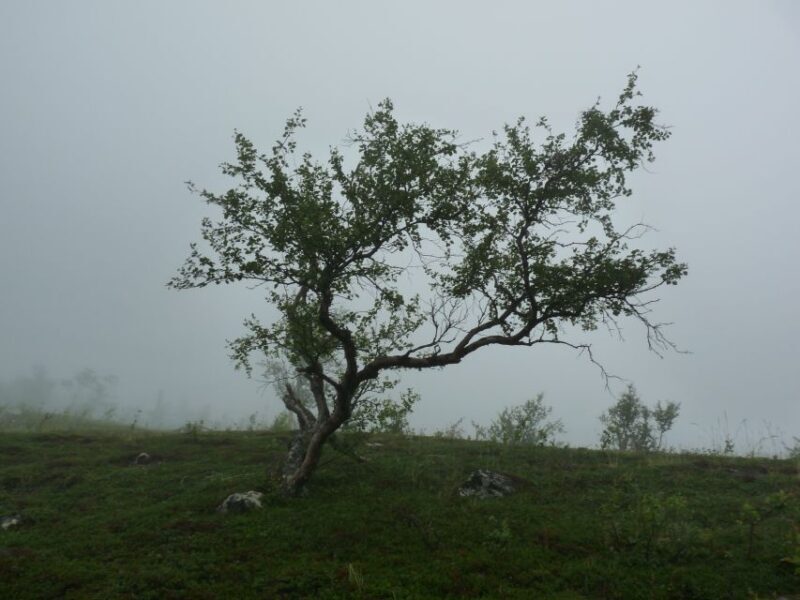 Bloody Stockholm: ghosts, horror and dark folklore 2h - An In-Depth Look at the Tour Itinerary