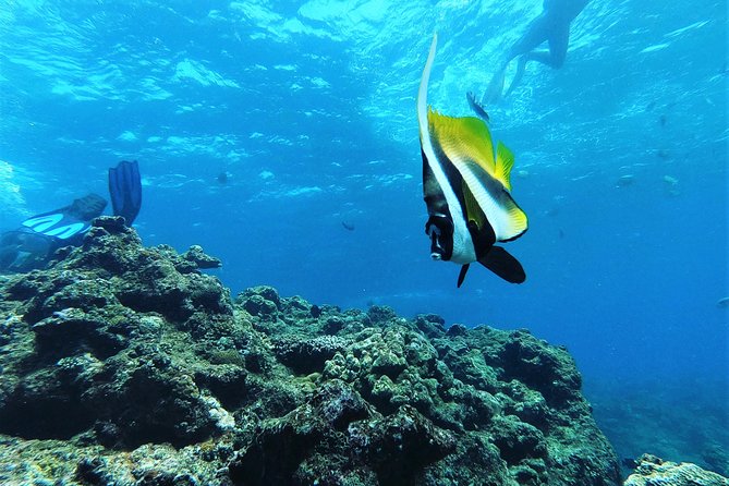 Blue Cave Experience Diving! [Okinawa Prefecture] Feeding & Photo Image Free! English, Chinese Guide Available! 1 Group With a Dedicated Instructor - Included Equipment and Amenities
