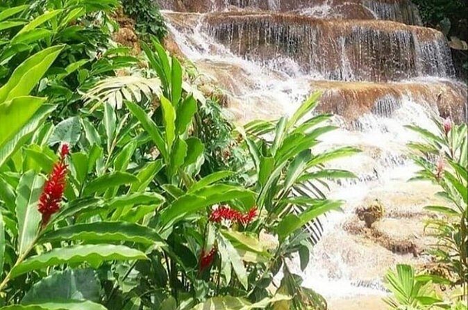 Blue Hole And Konoko Falls Combo Tour From Ocho Rios & Runaway Bay! - FAQ