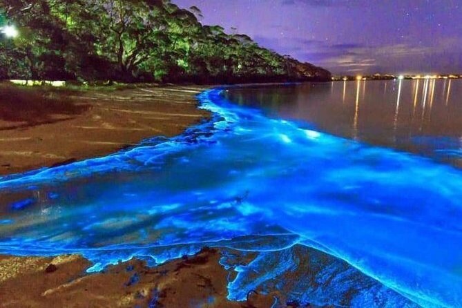 Blue Hole and Secret Falls with Luminous Lagoon(Glistening Waters) Private Tour - Key Points