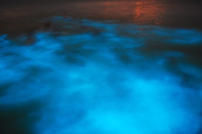 Blue Hole and Secret Falls with Luminous Lagoon(Glistening Waters) Private Tour - Who Will Enjoy This Tour?