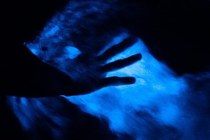 Blue Hole and Secret Falls with Luminous Lagoon(Glistening Waters) Private Tour - The Sum Up