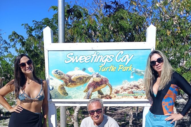 Blue Hole, Drift Snorkeling, and Turtles - Encountering Marine Life