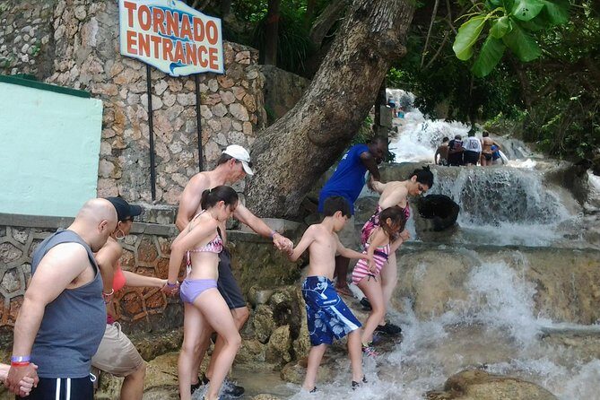 Blue Hole, Dunn's River Falls Luminous Lagoon Excursion From Montego Bay - An In-Depth Look at the Tour Experience