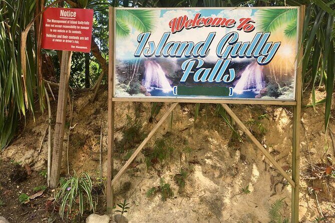 Blue Hole or Dunns River and Luminous Lagoon from Montego Bay - Who Will Love This Tour?