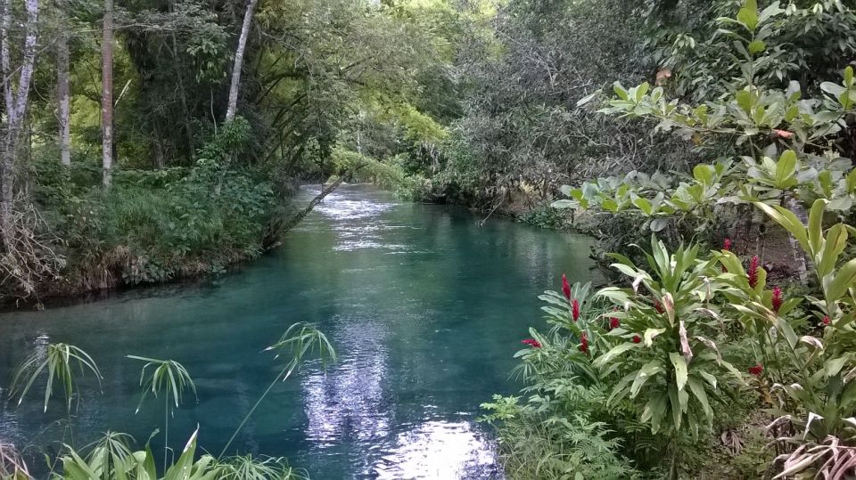 Blue Hole Rainforest Adventure - Delectable Lunch Experience