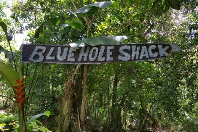 Blue Hole/Secert falls and Dunns River Combo Tour - What Travelers Say