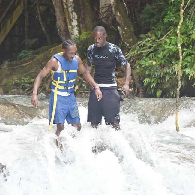 Blue Hole Secret Falls and Bob Marley Nine Mile Private Tour - Key Points